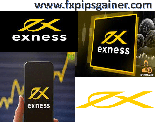 Understanding the Unique Features of Exness Bahrain Understanding the Unique Features of Exness Bahrain